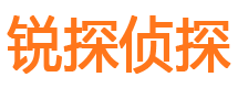 元阳市调查公司